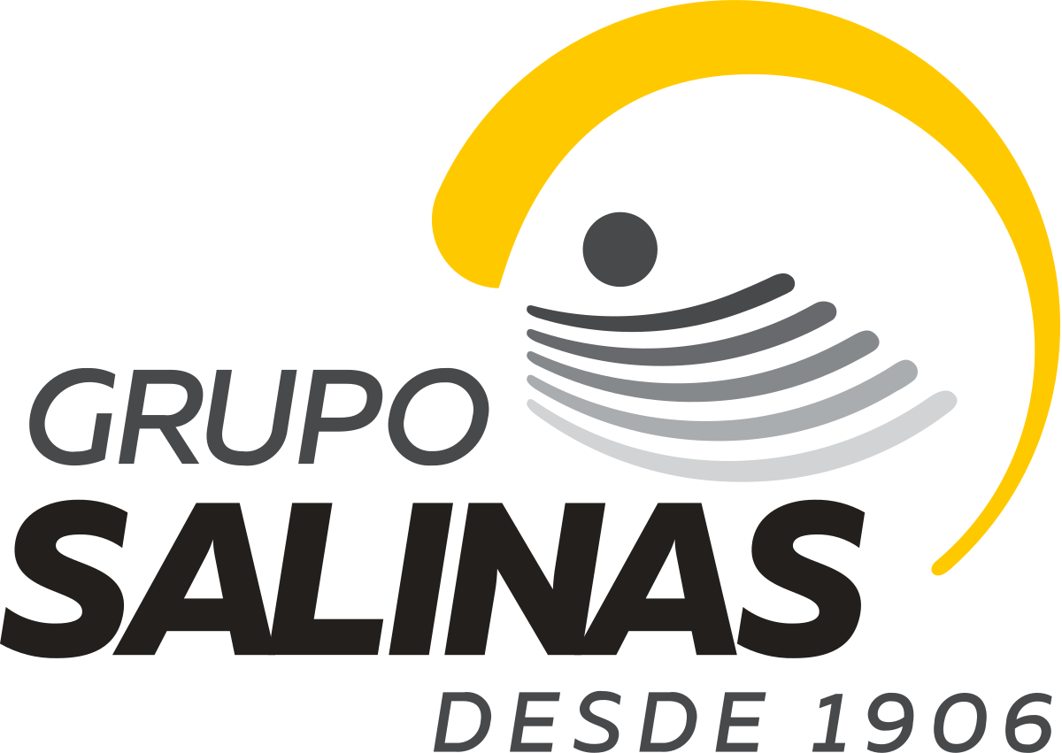 Grupo Salinas